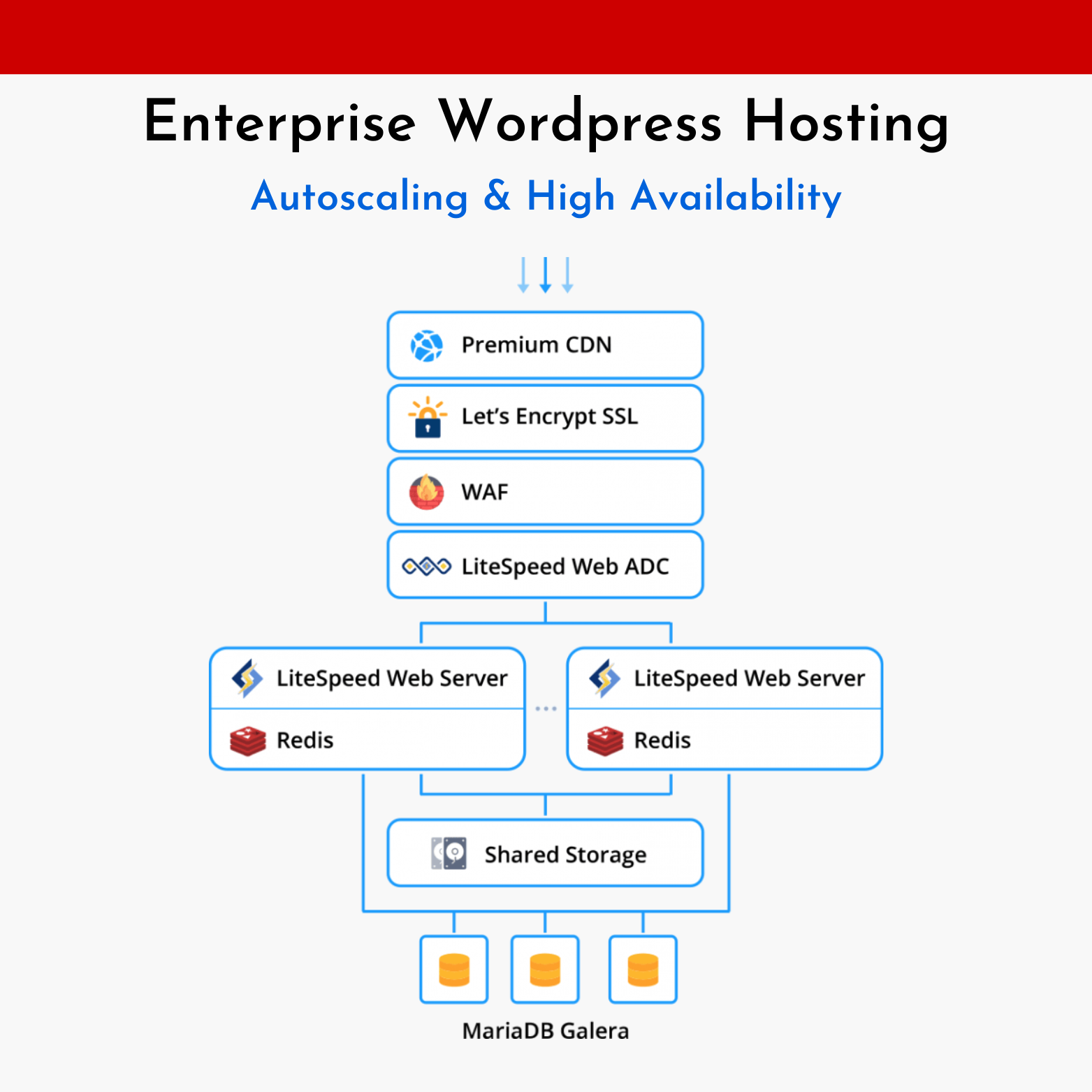 wordpress hosting india
